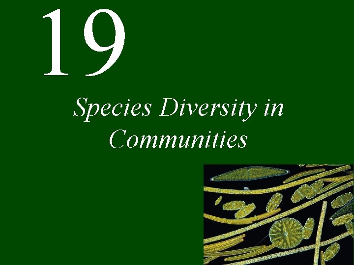 19 Species Diversity in Communities 