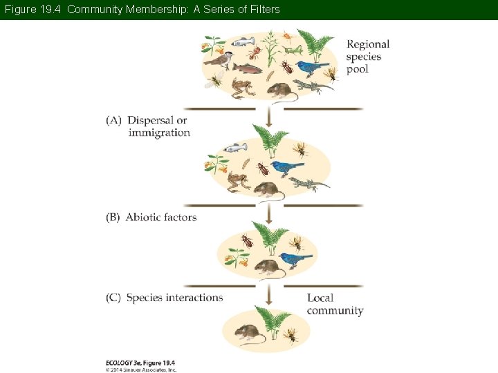 Figure 19. 4 Community Membership: A Series of Filters 