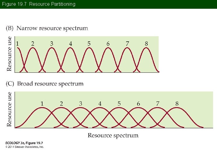 Figure 19. 7 Resource Partitioning 