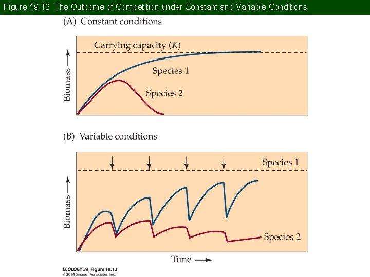 Figure 19. 12 The Outcome of Competition under Constant and Variable Conditions 
