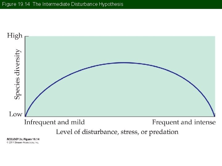 Figure 19. 14 The Intermediate Disturbance Hypothesis 