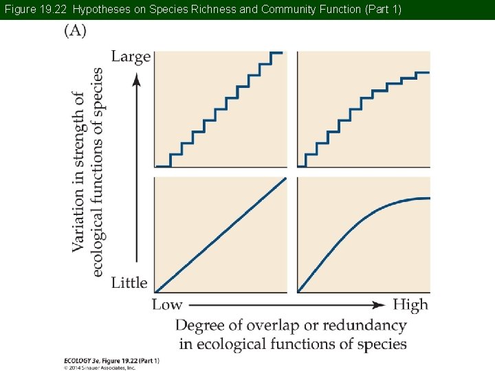 Figure 19. 22 Hypotheses on Species Richness and Community Function (Part 1) 