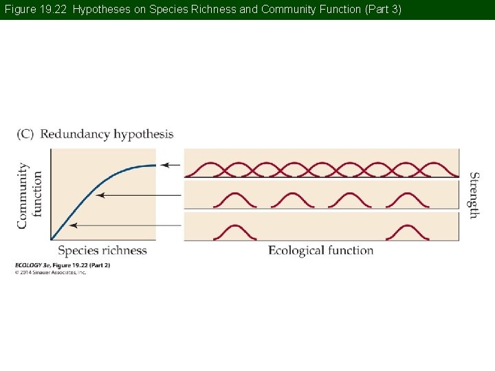 Figure 19. 22 Hypotheses on Species Richness and Community Function (Part 3) 