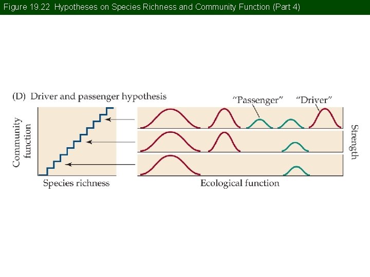 Figure 19. 22 Hypotheses on Species Richness and Community Function (Part 4) 