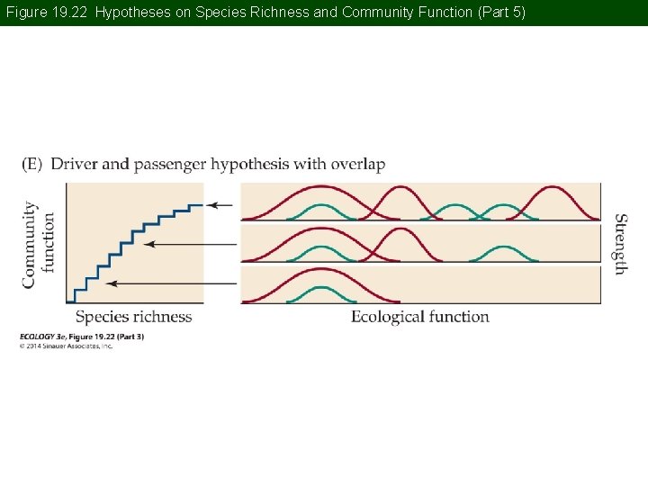 Figure 19. 22 Hypotheses on Species Richness and Community Function (Part 5) 