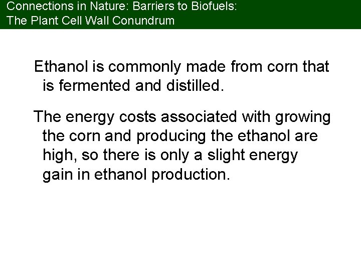 Connections in Nature: Barriers to Biofuels: The Plant Cell Wall Conundrum Ethanol is commonly