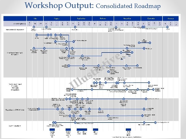 Workshop Output: Consolidated Roadmap u l Il r t s i t a e