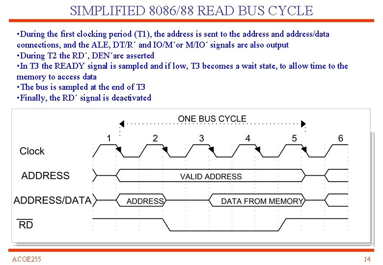 SIMPLIFIED 8086/88 READ BUS CYCLE • During the first clocking period (T 1), the