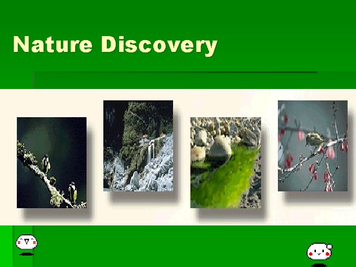 Nature Discovery 