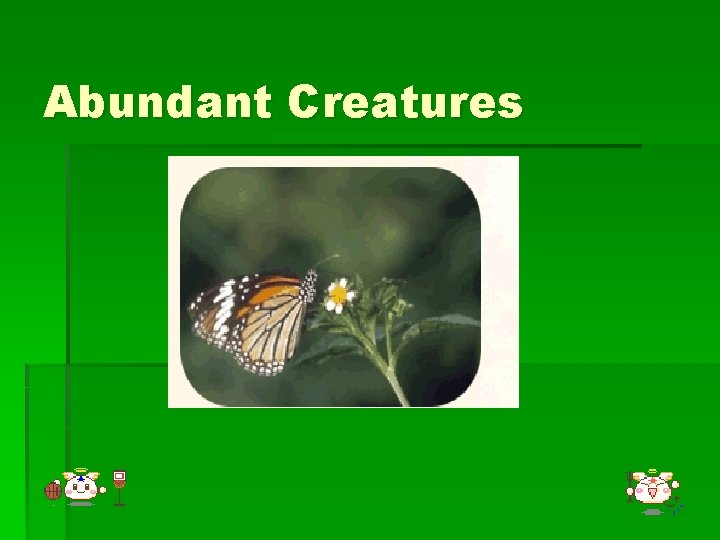 Abundant Creatures 