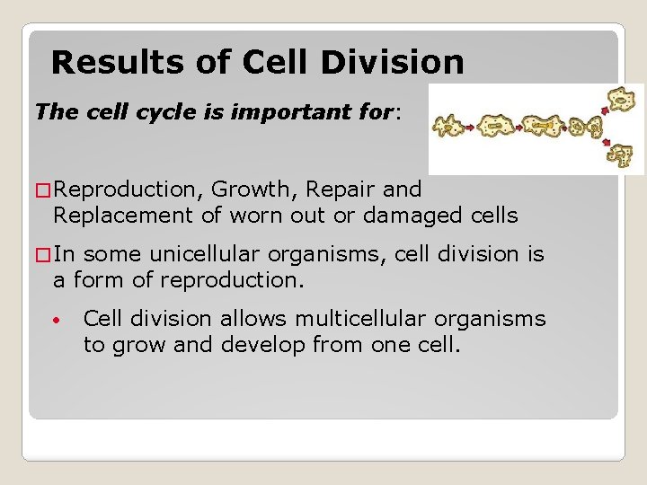 Chapter Menu Chapter Introduction Lesson 1 The Cell