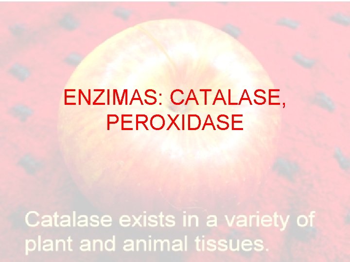 ENZIMAS: CATALASE, PEROXIDASE 