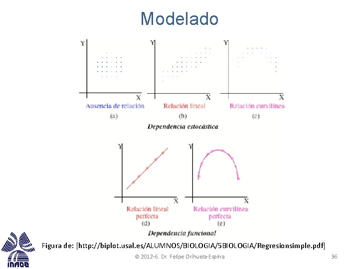 Modelado Figura de: [http: //biplot. usal. es/ALUMNOS/BIOLOGIA/5 BIOLOGIA/Regresionsimple. pdf] © 2012 -6. Dr. Felipe