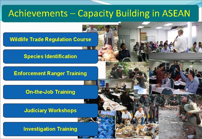 Achievements – Capacity Building in ASEAN Wildlife Trade Regulation Course Species Identification Enforcement Ranger