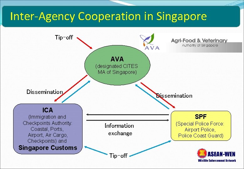 Inter-Agency Cooperation in Singapore Tip-off AVA (designated CITES MA of Singapore) Dissemination ICA (Immigration