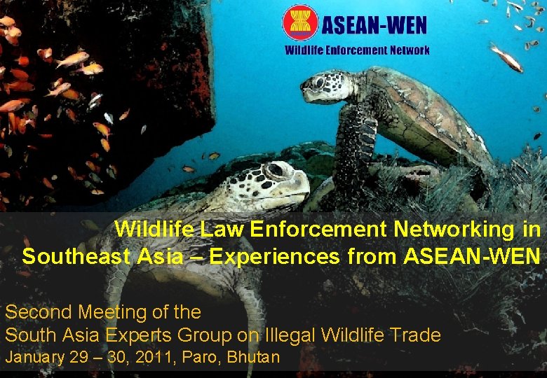 Wildlife Law Enforcement Networking in Southeast Asia – Experiences from ASEAN-WEN Second Meeting of