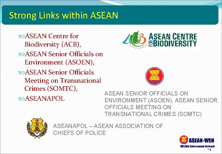 Strong Links within ASEAN Centre for Biodiversity (ACB), ASEAN Senior Officials on Environment (ASOEN),