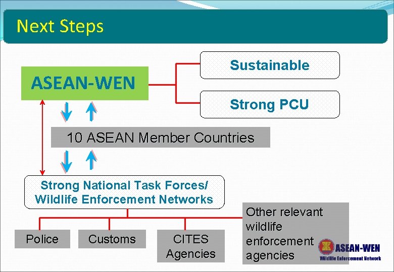 Next Steps Sustainable ASEAN-WEN Strong PCU 10 ASEAN Member Countries Strong National Task Forces/