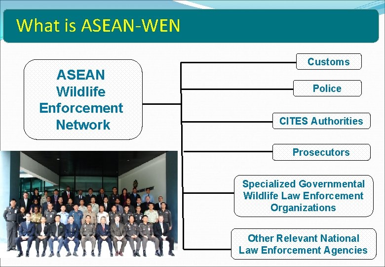 What is ASEAN-WEN ASEAN Wildlife Enforcement Network Customs Police CITES Authorities Prosecutors Specialized Governmental