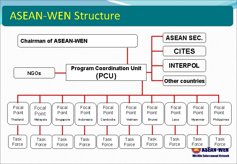 ASEAN-WEN Structure ASEAN SEC. Chairman of ASEAN-WEN CITES INTERPOL Program Coordination Unit NGOs (PCU)