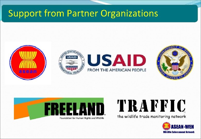 Support from Partner Organizations 