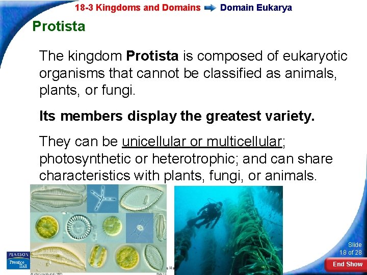 18 -3 Kingdoms and Domains Domain Eukarya Protista The kingdom Protista is composed of