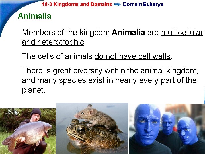18 -3 Kingdoms and Domains Domain Eukarya Animalia Members of the kingdom Animalia are