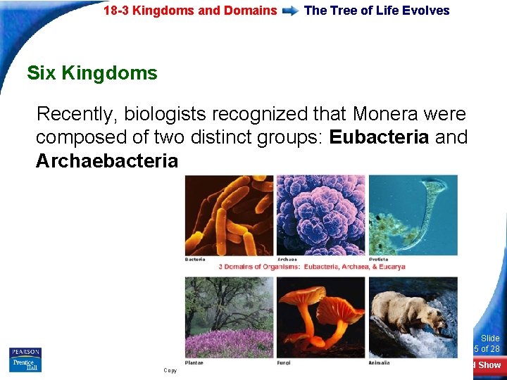 18 -3 Kingdoms and Domains The Tree of Life Evolves Six Kingdoms Recently, biologists
