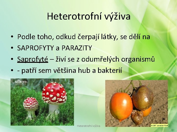 Heterotrofní výživa • • Podle toho, odkud čerpají látky, se dělí na SAPROFYTY a