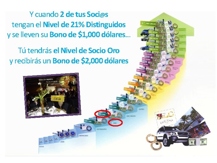Y cuando 2 de tus Soci@s tengan el Nivel de 21% Distinguidos y se