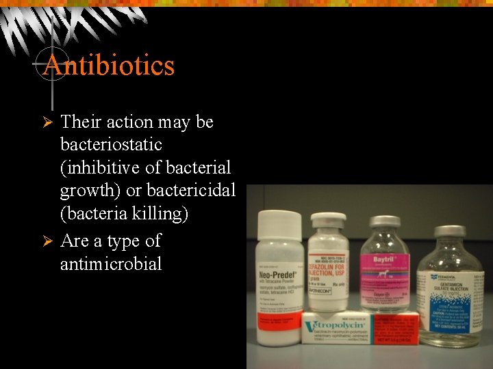 Antibiotics Their action may be bacteriostatic (inhibitive of bacterial growth) or bactericidal (bacteria killing)