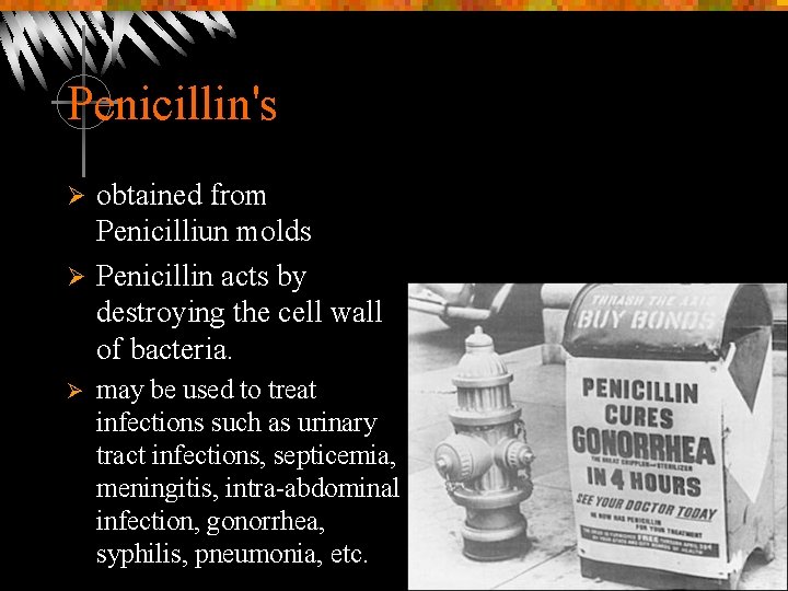 Penicillin's obtained from Penicilliun molds Ø Penicillin acts by destroying the cell wall of