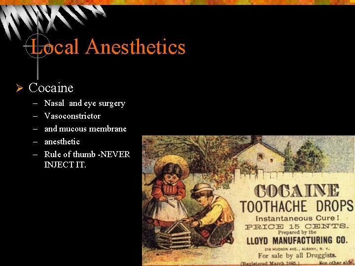Local Anesthetics Ø Cocaine – – – Nasal and eye surgery Vasoconstrictor and mucous