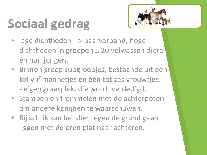 Sociaal gedrag ▸ lage dichtheden --> paarverband, hoge dichtheden in groepen ± 20 volwassen