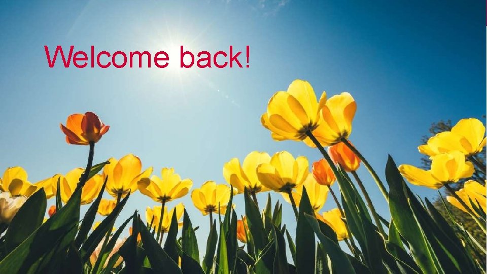 Welcome Back! Welcome back! 