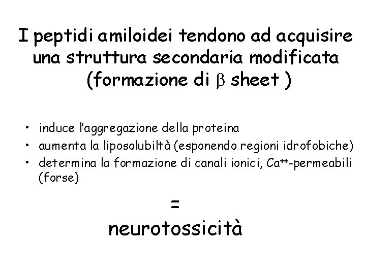 I peptidi amiloidei tendono ad acquisire una struttura secondaria modificata (formazione di b sheet