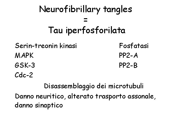 Neurofibrillary tangles = Tau iperfosforilata Serin-treonin kinasi MAPK GSK-3 Cdc-2 Fosfatasi PP 2 -A