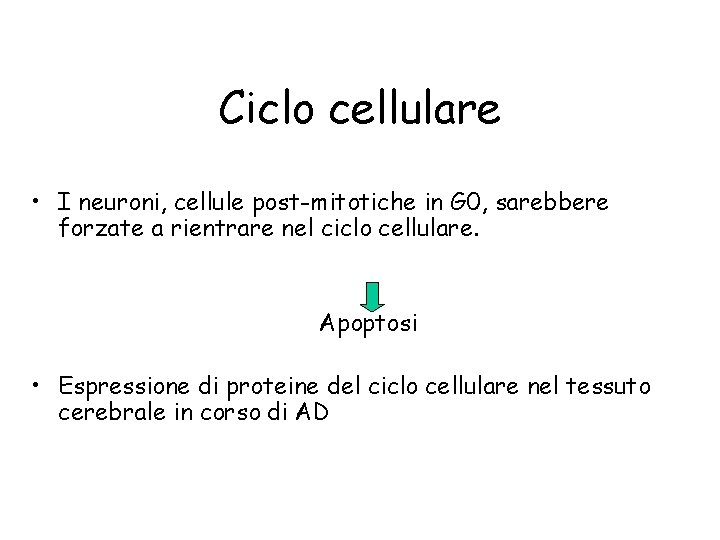 Ciclo cellulare • I neuroni, cellule post-mitotiche in G 0, sarebbere forzate a rientrare