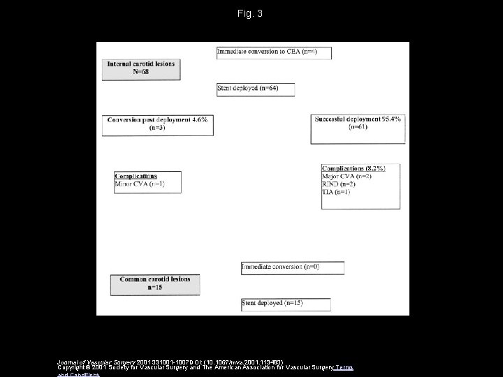 Fig. 3 Journal of Vascular Surgery 2001 331001 -1007 DOI: (10. 1067/mva. 2001. 113483)