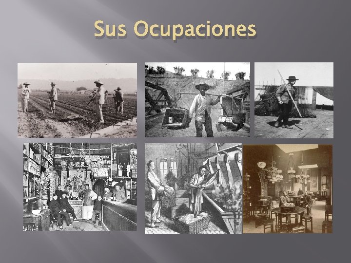Sus Ocupaciones 