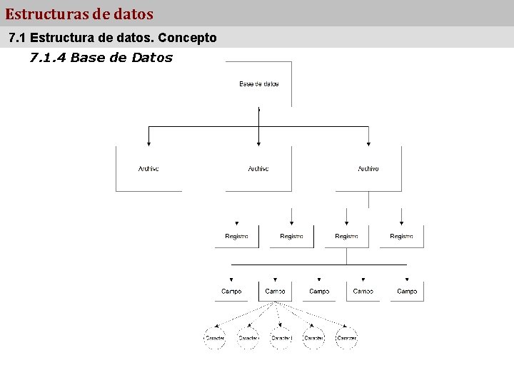 Estructuras de datos 7. 1 Estructura de datos. Concepto 7. 1. 4 Base de