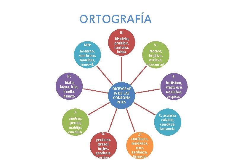 ORTOGRAFÍA B: bisnieto, prohibir, cantaba, biblia MN: invierno, sombrero, ómnibus, inmóvil. V: Nocivo, fugitivo,