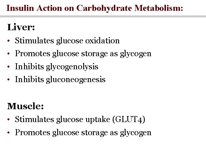 Insulin Action on Carbohydrate Metabolism: Liver: • Stimulates glucose oxidation • Promotes glucose storage