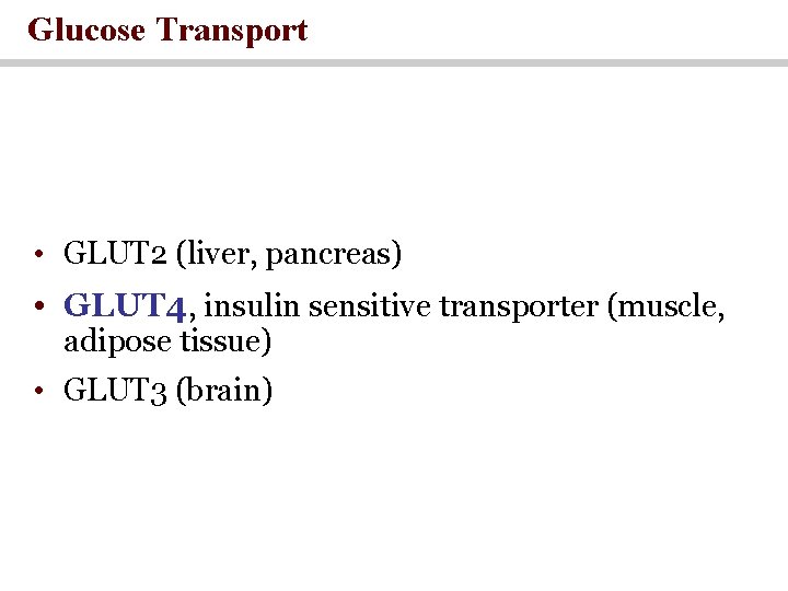 Glucose Transport • GLUT 2 (liver, pancreas) • GLUT 4, insulin sensitive transporter (muscle,