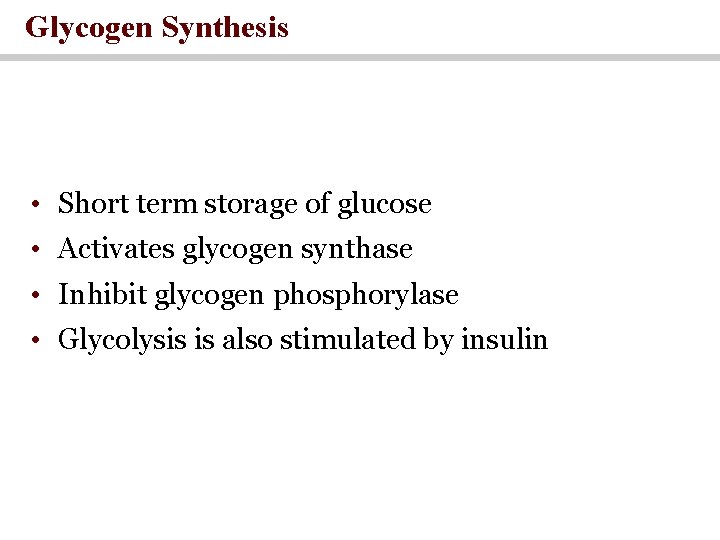 Glycogen Synthesis • Short term storage of glucose • Activates glycogen synthase • Inhibit