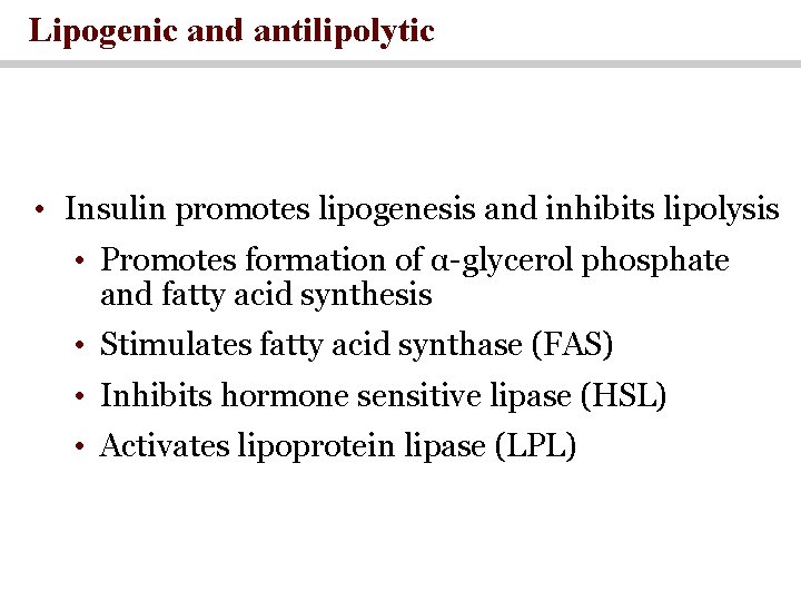 Lipogenic and antilipolytic • Insulin promotes lipogenesis and inhibits lipolysis • Promotes formation of
