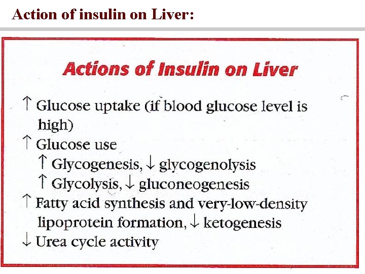 Action of insulin on Liver: 