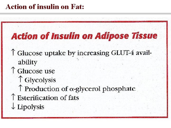 Action of insulin on Fat: 