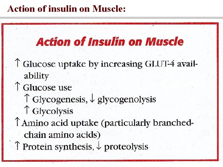 Action of insulin on Muscle: 