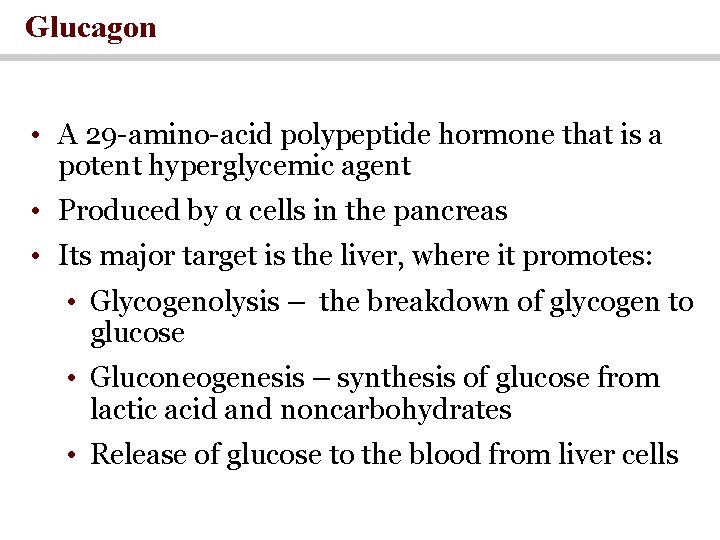 Glucagon • A 29 -amino-acid polypeptide hormone that is a potent hyperglycemic agent •